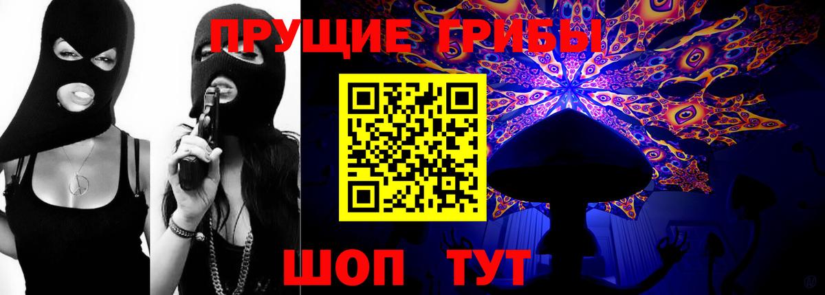 Галлюциногенные грибы Psilocybine cubensis Зерноград